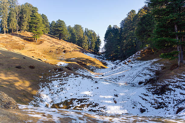 Chakrata-Adventure-Tour-packages-trekmyuttarakhand.in