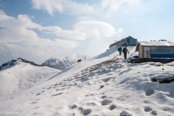 Kuari-Pass-Trek-trekmy-uttarakhand