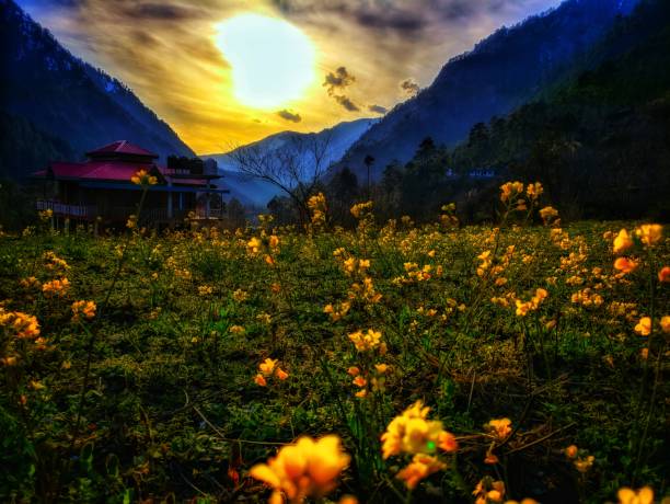Valley-of-Flowers-trek-my-uttarakhand